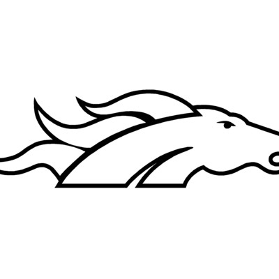 Bronco